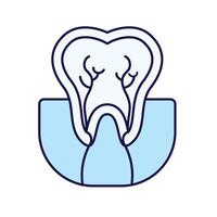 This image is a minimalistic, outline-style icon of a tooth cross section. It depicts the internal structure of a tooth, including the enamel, dentin, pulp, and root canals vector