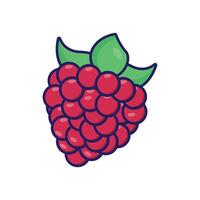 Raspberry Fruits simple cartoon minimalist isolated white background vector