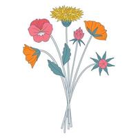 Bright bouquet of wildflowers. Bunch with common knapweed, pansy, different meadow flowers, blooming wild plants, and herbs. Botanical hand drawn elements for design projects vector