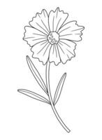 Wildflower in line art style. Detailed floral blooming wild plant coreopsis, meadow flower, contour. Botanical element for design projects, ink outline. vector