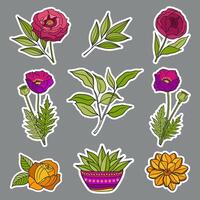 Floral hand drawn stickers. Set of different flowers and leaves. Colorful bright boho theme. For printing on sticky paper and for use in your design. vector