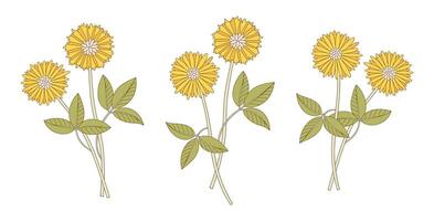 Set of three bouquets of yellow flowers. Bunches of blooming wildflowers with leaves, perennial wild plants. Botanical hand drawn elements for design projects vector