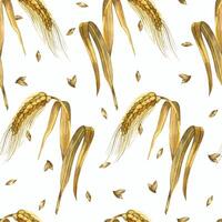 Wheat ears, seamless watercolor pattern of wheat ears, all objects are hand-drawn with watercolor and isolated on a white background. Seamless watercolor pattern. For printing on fabric, paper vector
