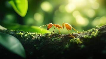 Close-up shot of an ant transporting food through lush forest photo