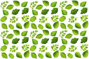 Seamless pattern featuring a variety of green leaves in different shapes and sizes for design applications vector