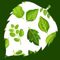 Bright green leaf pattern with various shapes and sizes showcased on a light background vector