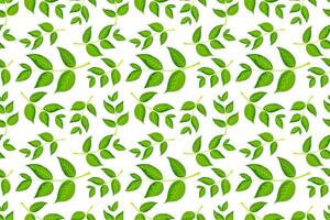 Seamless green leaf pattern illustration suitable for backgrounds and textile designs featuring a variety of leaf shapes and sizes vector