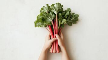 Fresh rhubarb stalks with vibrant red stems photo