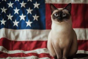 Siamese cat sitting in front of an American flag photo