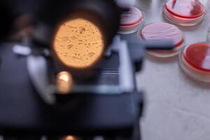A microscope with a red object on it photo