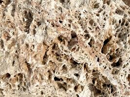 Unique textures and patterns in porous rock formation found near coastal area photo