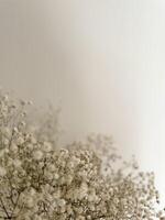 Delicate white flowers create a calming atmosphere in a serene indoor setting photo