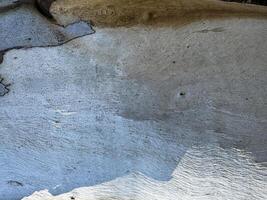 Natural patterns on a rock surface showcase unique textures and colors in outdoor setting photo
