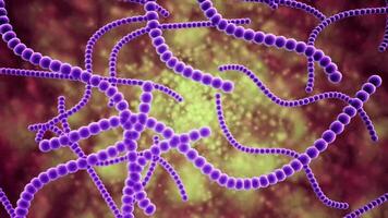 Microscopic visualization of Streptococcus pneumoniae video