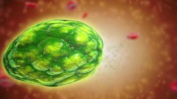 Conceptual visualization of a lysosome. video
