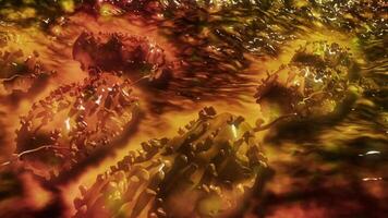 Microscopic view of Escherichia coli bacteria, commonly known as E. Coli. video