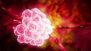 Microscopic visualization of Stachybotrys. video
