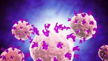 Microscopic visualization of rotavirus. video