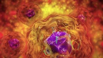 Microscopic visualization of transparent cell nucleus with chromosomes. video