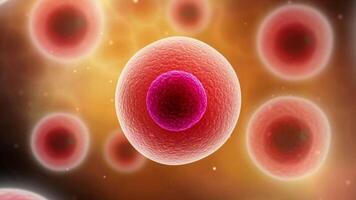 Microscopic visualization of cell division. video