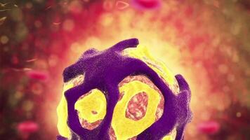 Microscopic visualization of the dengue virus. video