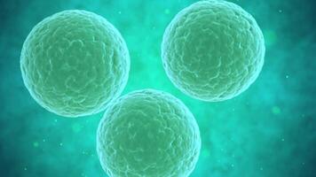 Abstract animation of cell multiplication. video