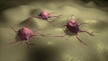 Visualization of several cancer cells on a cellular surface. video