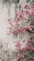 Pink flowers on a tree branch against a wall photo