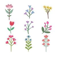 Simplicity in Bloom Collection of Simple Flower Arrangements vector