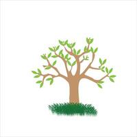 A tree is isolated on a white background vector