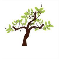 Simple tree Illustration on white background vector
