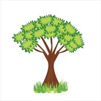 tree Illustration on white background vector