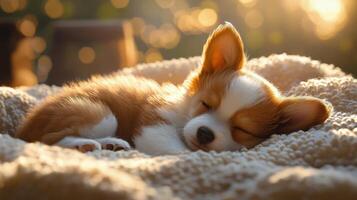 A small puppy sleeping on a blanket photo