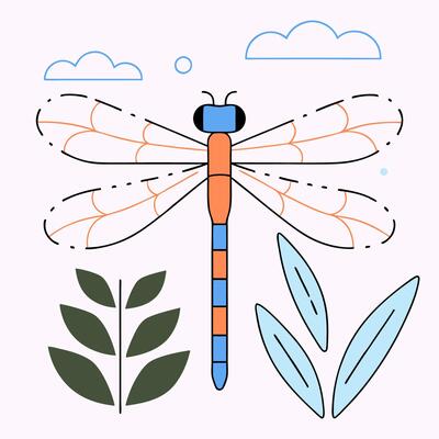 Dragonfly Illustration Orange.