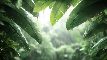 Rainy jungle background with green leaves and water photo
