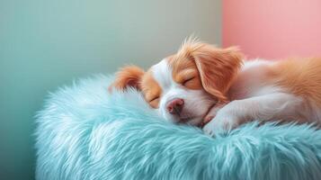 A puppy sleeping on a blue furry pillow photo
