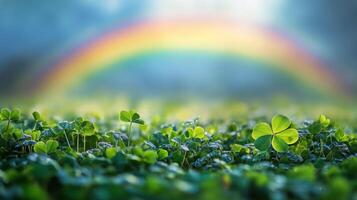Clover and rainbow in the field of green grass photo
