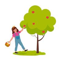 Girl picking apples from a tree in a sunny orchard while enjoying a fun day outdoors vector