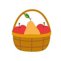 Fresh fruits in a wicker basket showing apples and a pear ready for harvest vector