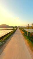 FPV flight over scenic road through rice fields at sunset in Ninh Binh, Vietnam. video