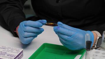 Scientist Examining Stained Microscope Slide video