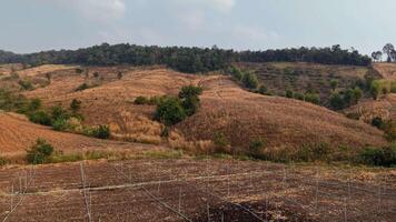 A breathtaking view of rolling dry hills, with scattered trees and an endless horizon. video