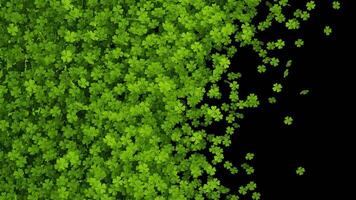 Shamrock Transitions is alpha motion footage for calibration films and religion cinematic in st patrick scene. Also good background for scene and titles, logos. video