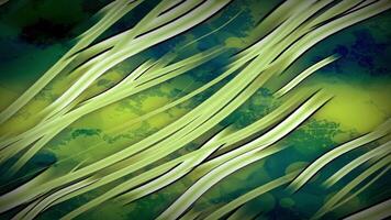 Abstract 6 Seaweed is an abstract animated texture in motion with a green color theme and animated wavy lines. video