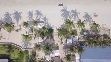 Relaxing beach getaway with palm trees and scenic views video