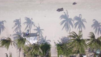 Beautiful beach with palm trees and calm waters during sunrise video