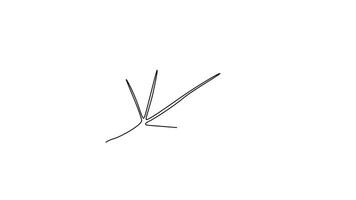 Self drawing animation single line draw abstract tropic spring maple leaf logo. Botany natural eco concept. Home wall decor, poster, tote bag, fabric print. Continuous line draw. Full length animated video