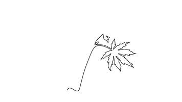 Self drawing animation single line draw spring maple leaf logo icon. Botany style concept for poster, wall art, tote bag, mobile case, shirt, sticker print. Continuous line draw. Full length animated video