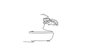 Self drawing animation of single line draw beautiful and exotic Japan bonsai tree. Decorative old small banyan tree concept for home decor wall art poster. Continuous line draw. Full length animated video