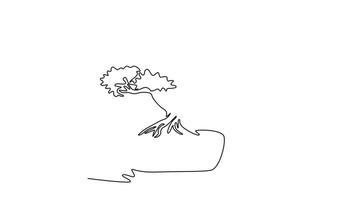 Animated self drawing continuous line draw beautiful and exotic Japanese bonsai tree logo icon. Decorative little banyan tree on tree concept for greeting post card. Full length single line animation video
